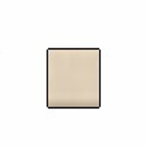 Accessories Bone (Grout) 1 Gallon